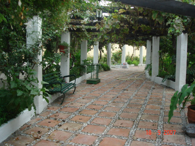 Click on picture to view video driveway!