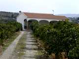 10610339_med