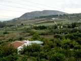 10610342_med